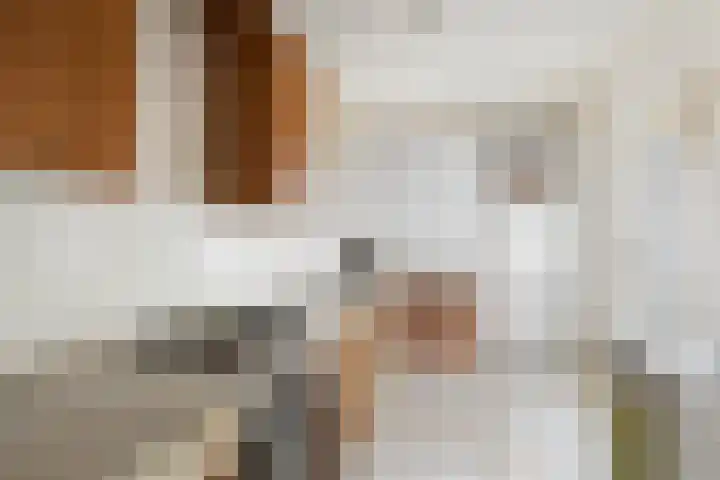 Attleeplantsoen 62 Utrecht thumbnail 20