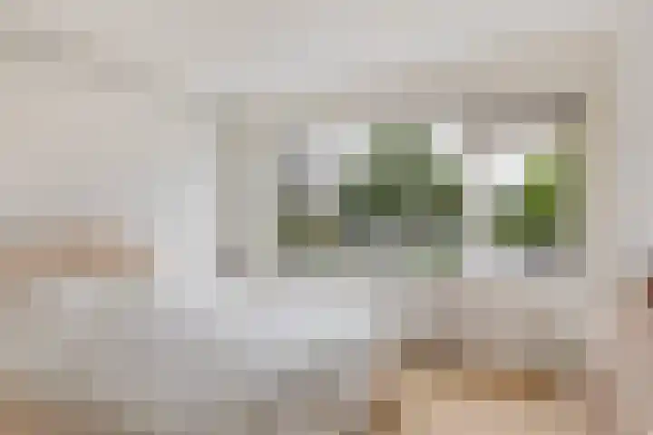 Attleeplantsoen 62 Utrecht thumbnail 25