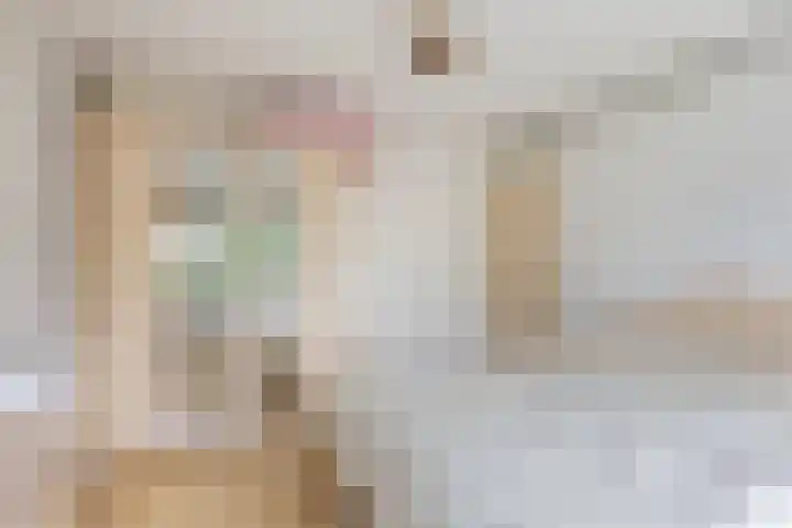 Attleeplantsoen 62 Utrecht thumbnail 26
