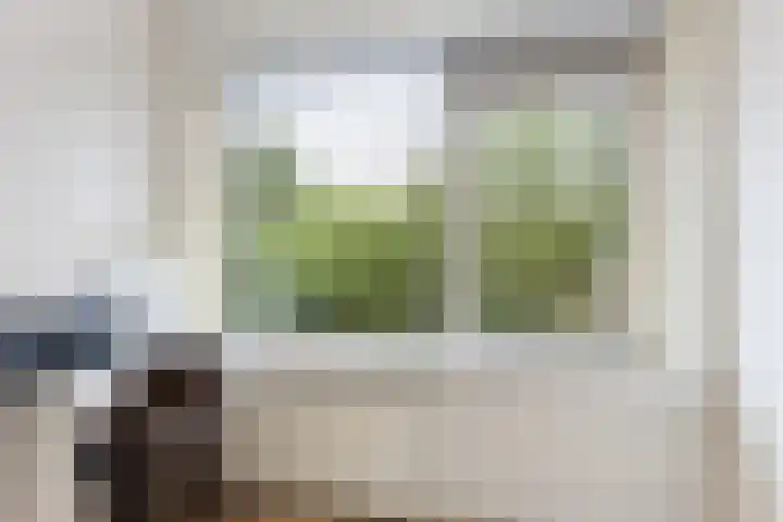 Attleeplantsoen 62 Utrecht thumbnail 31