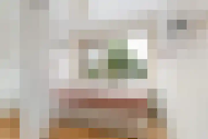 Attleeplantsoen 62 Utrecht thumbnail 33