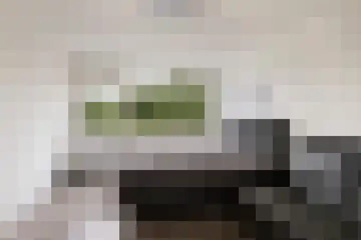 Attleeplantsoen 62 Utrecht thumbnail 35