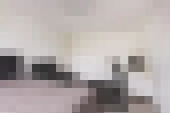 Attleeplantsoen 62 Utrecht thumbnail 36