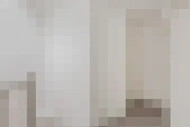 Attleeplantsoen 62 Utrecht thumbnail 39
