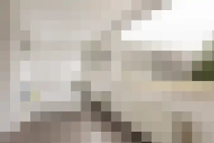 Attleeplantsoen 62 Utrecht thumbnail 4