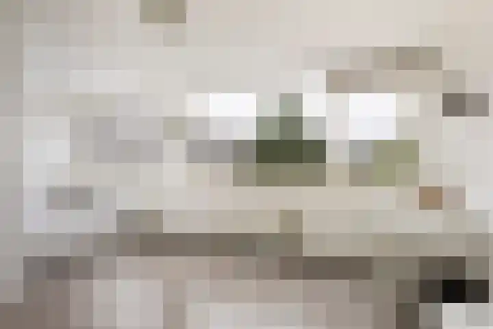 Attleeplantsoen 62 Utrecht thumbnail 41