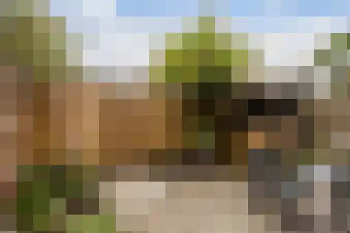 Attleeplantsoen 62 Utrecht thumbnail 43