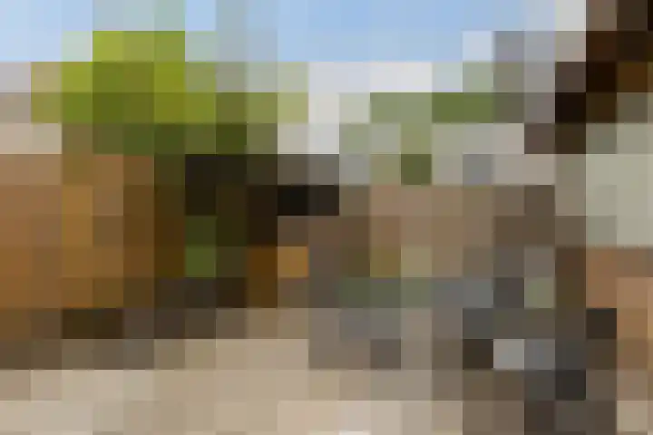 Attleeplantsoen 62 Utrecht thumbnail 44