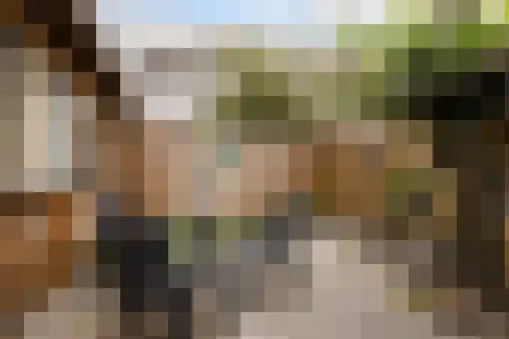 Attleeplantsoen 62 Utrecht thumbnail 45