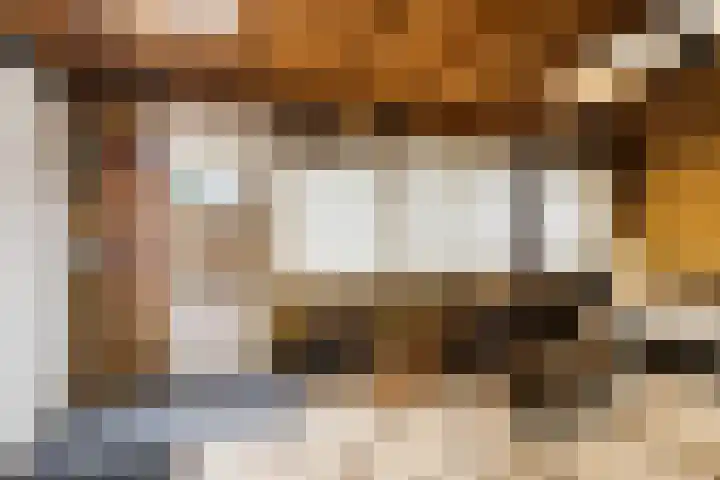 Attleeplantsoen 62 Utrecht thumbnail 48