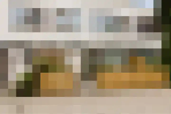 Attleeplantsoen 62 Utrecht thumbnail 9
