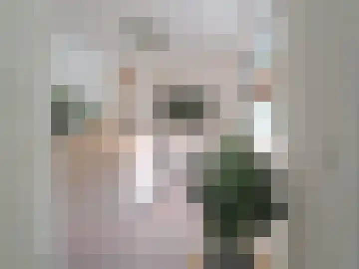 Attleestede 16 Goes thumbnail 13