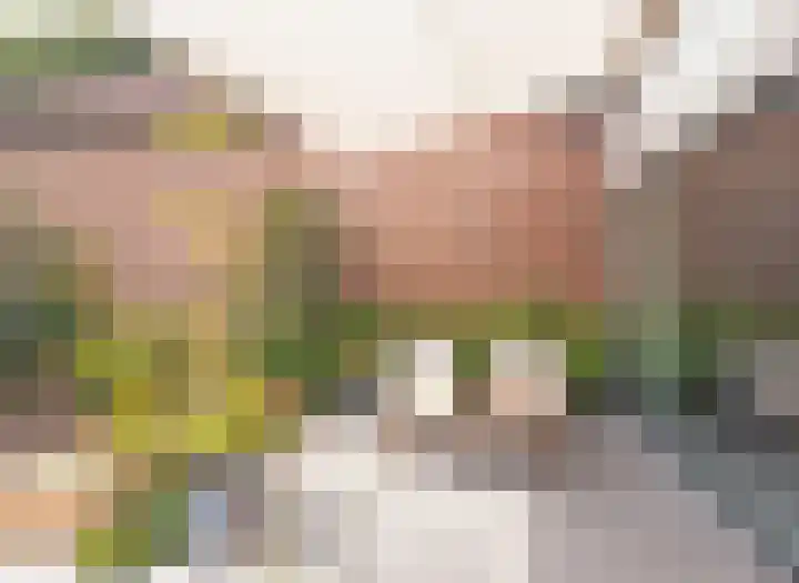 Attleestede 16 Goes thumbnail 17