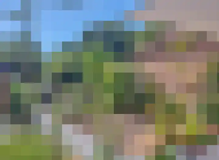 Attleestede 16 Goes thumbnail 18