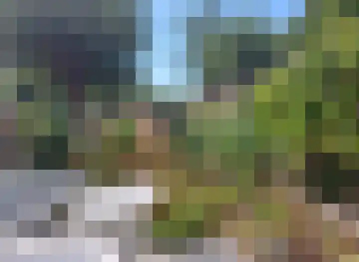 Attleestede 16 Goes thumbnail 20