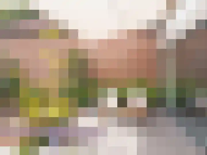 Attleestede 16 Goes thumbnail 4