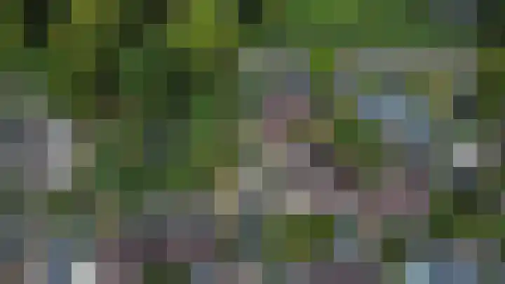 Attleestede 16 Goes thumbnail 46