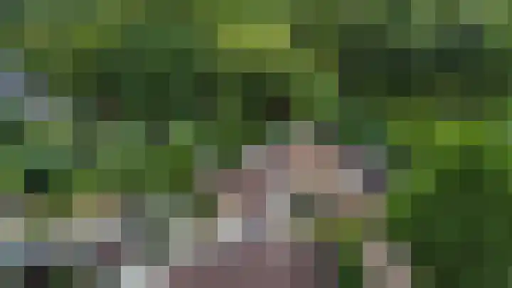Attleestede 16 Goes thumbnail 47