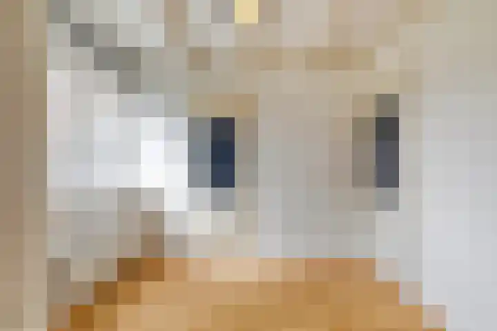 Attleestede 4 Goes thumbnail 20