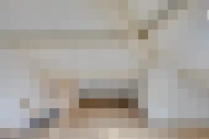 Attleestede 4 Goes thumbnail 22
