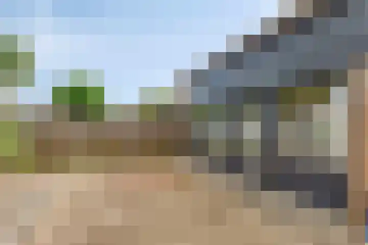 Attleestede 4 Goes thumbnail 25