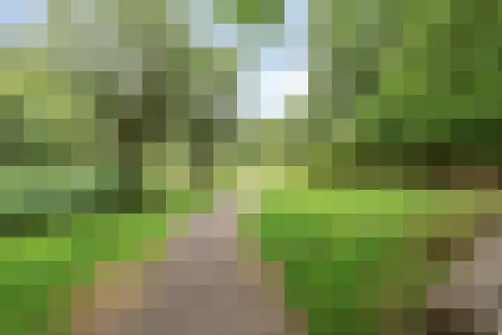 Attleestede 4 Goes thumbnail 29