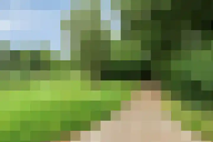 Attleestede 4 Goes thumbnail 30