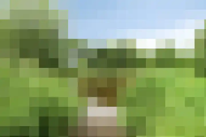 Attleestede 4 Goes thumbnail 31