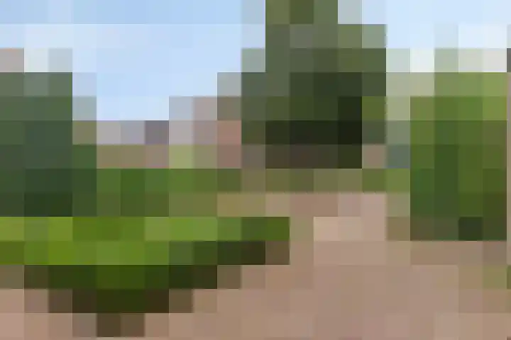 Attleestede 4 Goes thumbnail 4