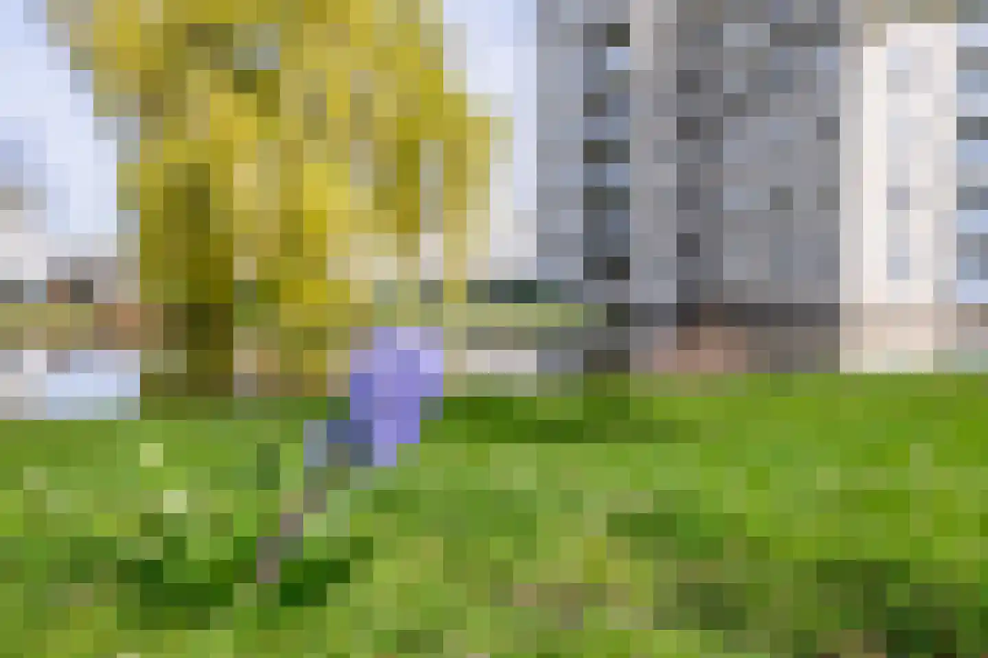 Attleestraat 3 Rotterdam thumbnail 47
