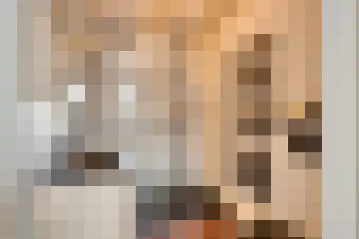 Attleestraat 8 Rotterdam thumbnail 17