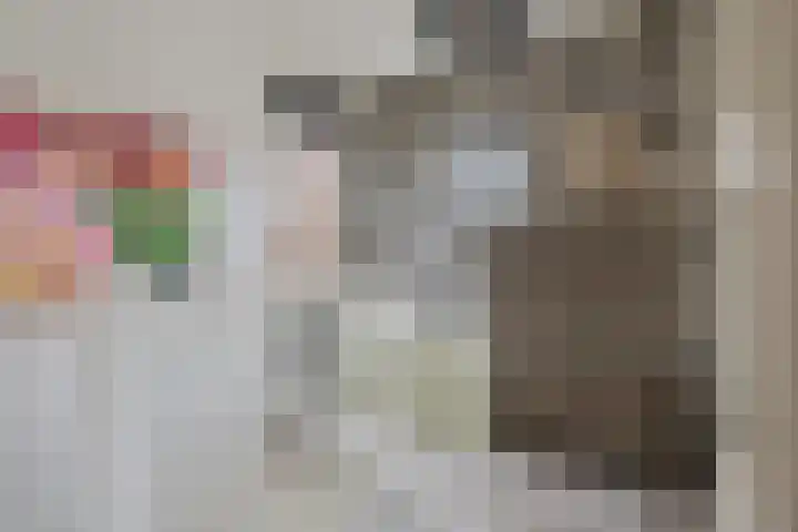 Attleestraat 8 Rotterdam thumbnail 26