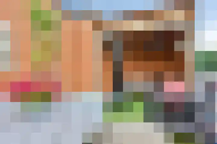 Attleestraat 8 Rotterdam thumbnail 30