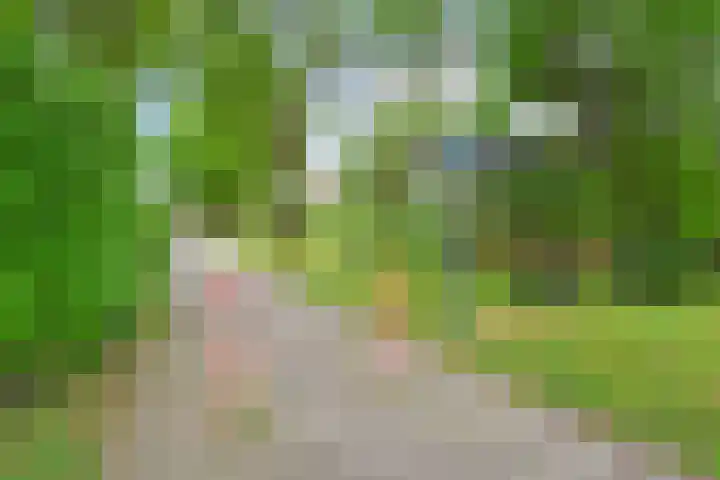 Attleestraat 8 Rotterdam thumbnail 34