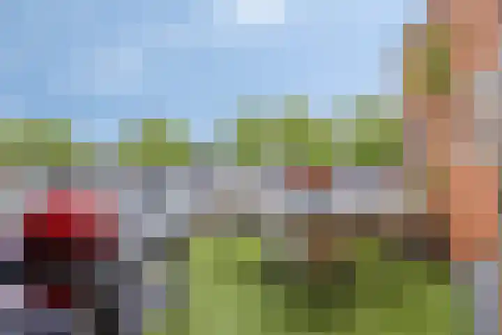Attleestraat 8 Rotterdam thumbnail 5