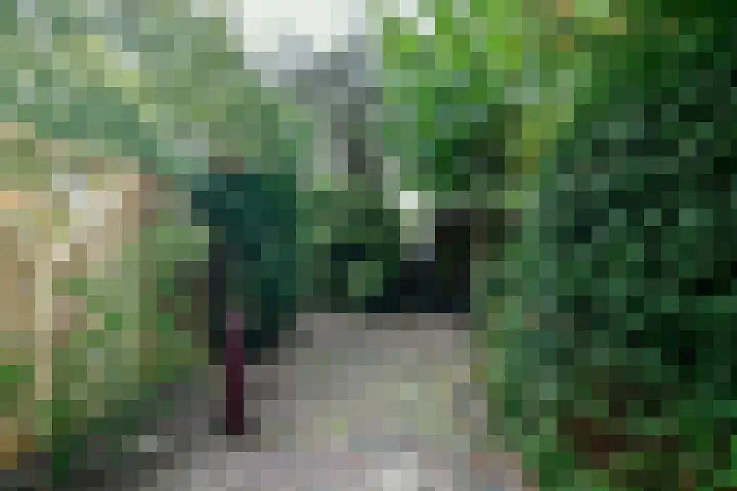 Aubachstraat 36 Beverwijk thumbnail 18