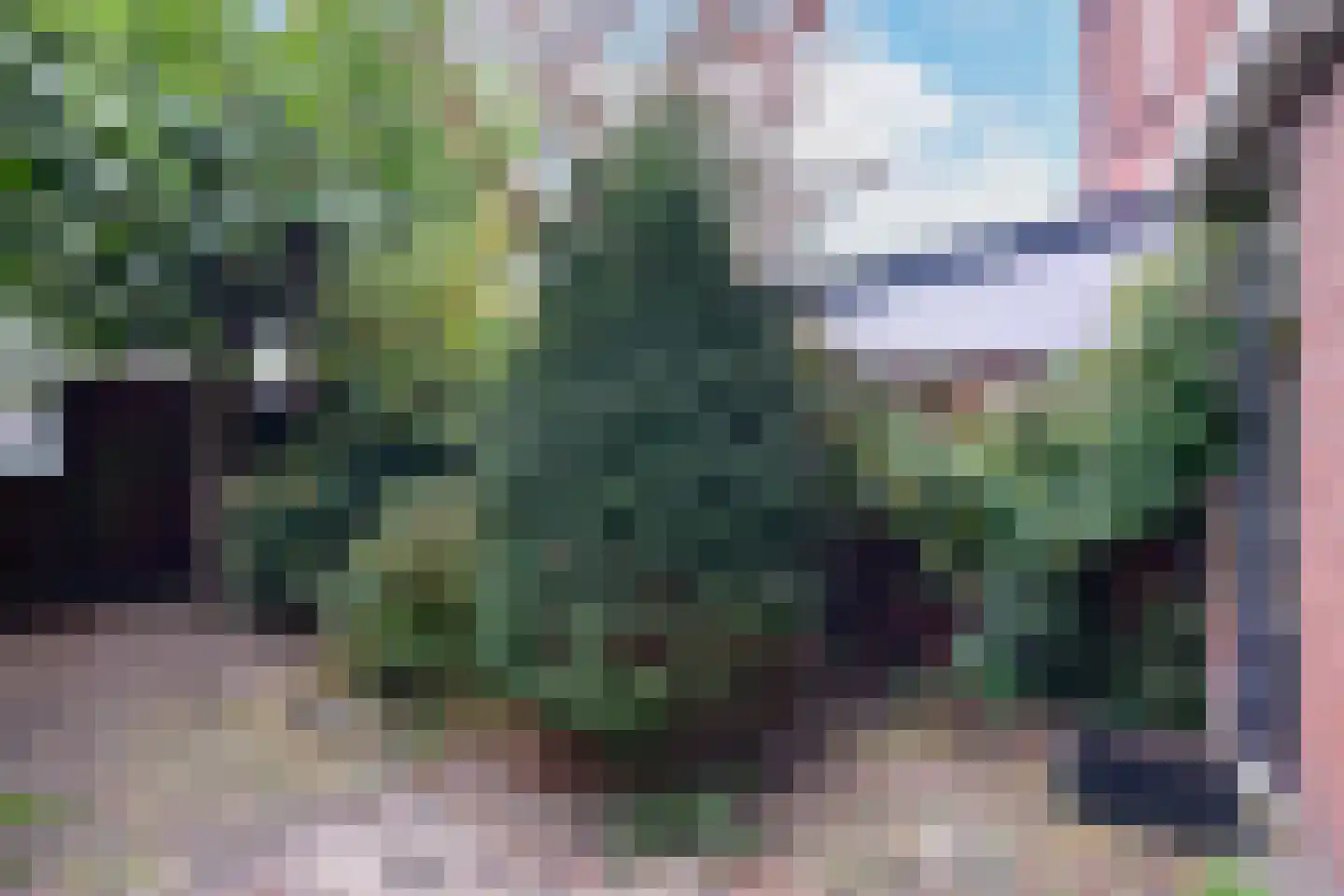 Aubachstraat 36 Beverwijk thumbnail 19