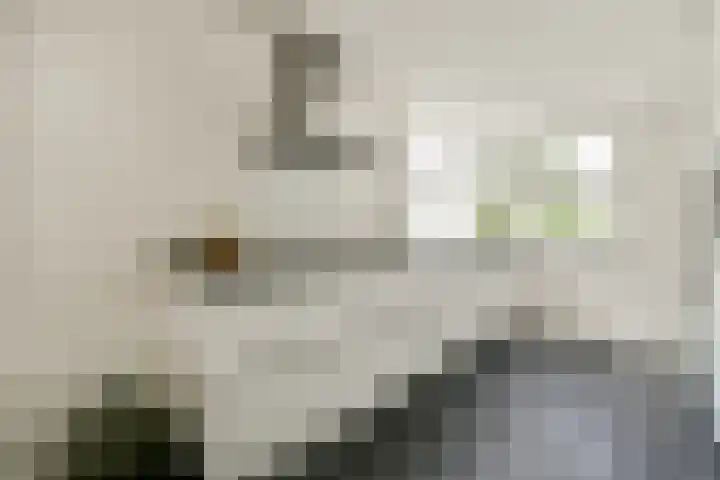 Aubade 33 Zaandam thumbnail 10