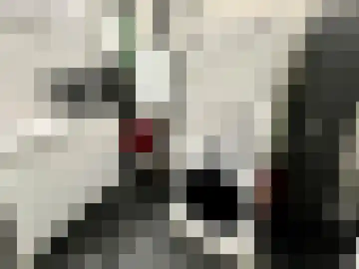 Aubade 33 Zaandam thumbnail 29