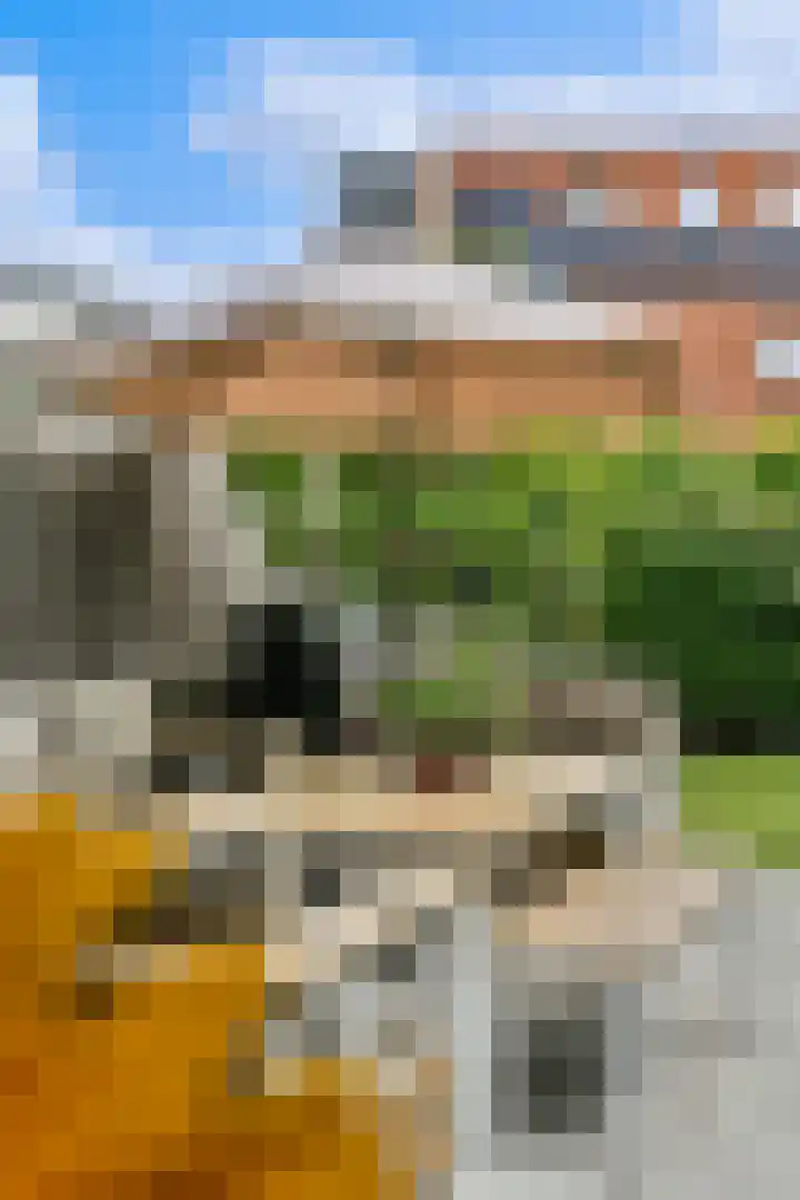Aubade 33 Zaandam thumbnail 33