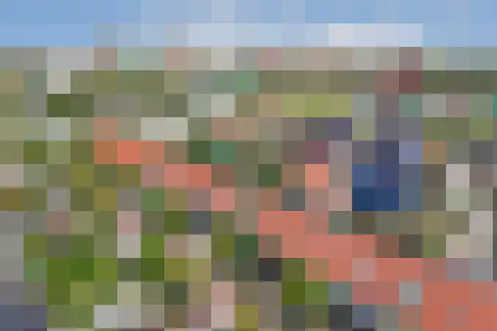 Aubade 33 Zaandam thumbnail 42