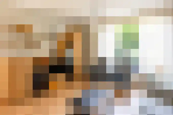 Aubadestraat 1 Venray thumbnail 15