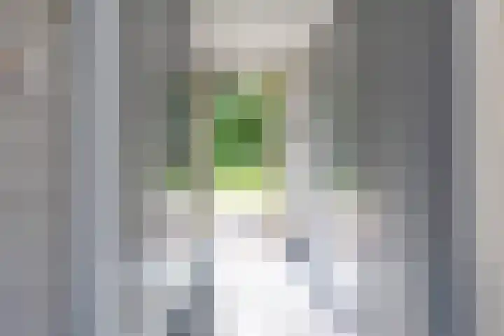 Aubadestraat 1 Venray thumbnail 21