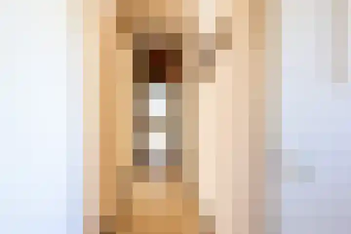 Aubadestraat 1 Venray thumbnail 26
