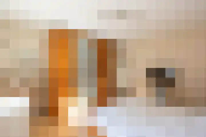 Aubadestraat 1 Venray thumbnail 34