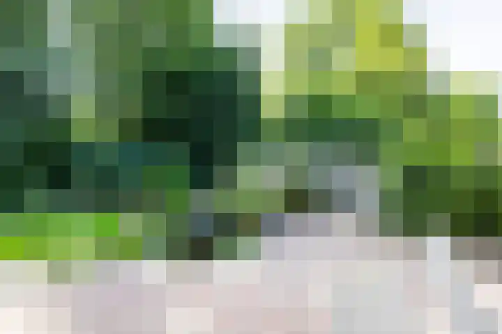 Aubadestraat 1 Venray thumbnail 4