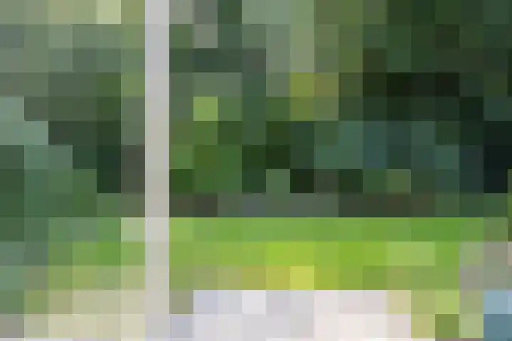 Aubadestraat 1 Venray thumbnail 43
