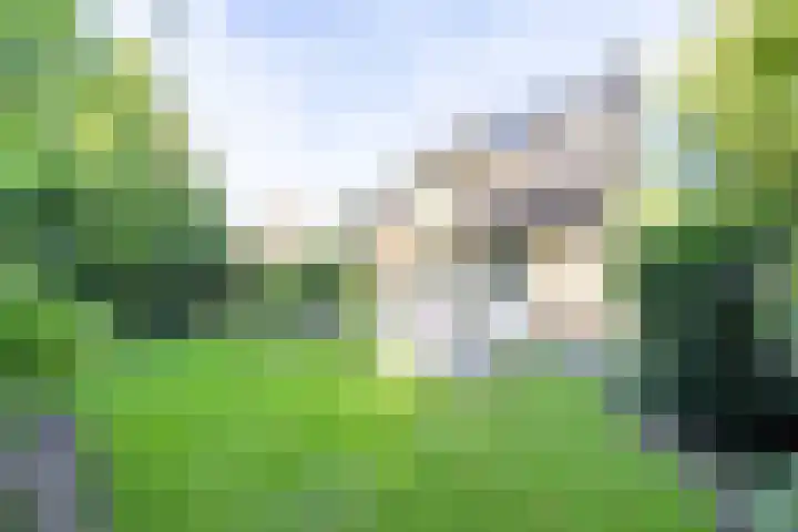 Aubadestraat 1 Venray thumbnail 46