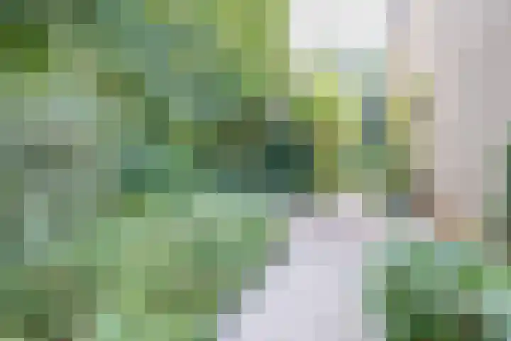 Aubadestraat 1 Venray thumbnail 47