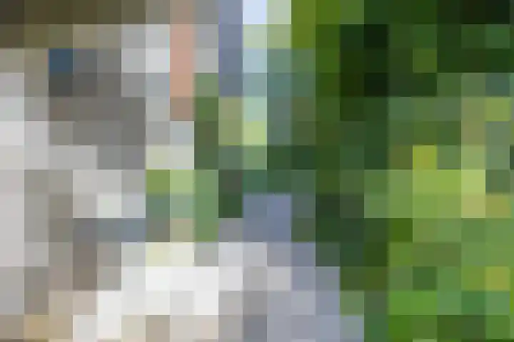 Aubadestraat 1 Venray thumbnail 48